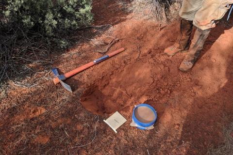 St George onto new WA nickel sulphide target