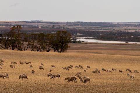 $15m to better biosecurity