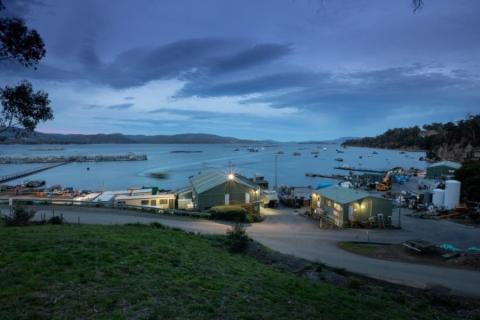 Takeover target Huon cops $128m loss