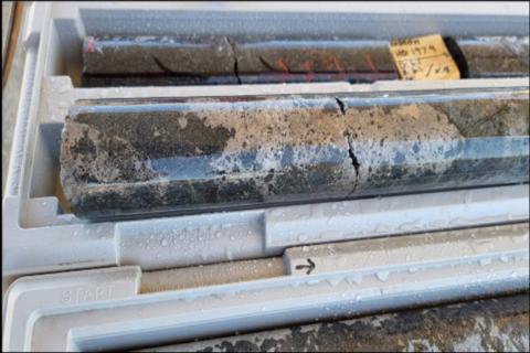 Legend boosts Mawson discovery