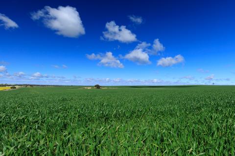 Broadacre farmers defy challenges to deliver positive results