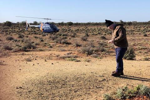 West Cobar set to hit the ASX with NSW copper gold assets