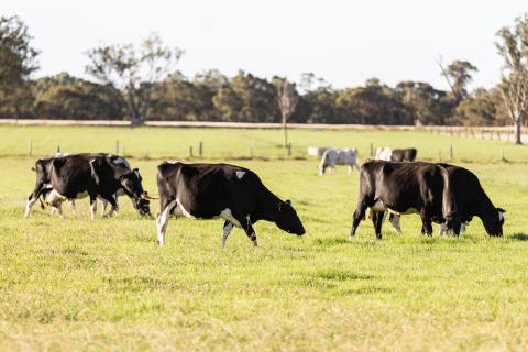 Agriculture roadmap to net zero by 2040