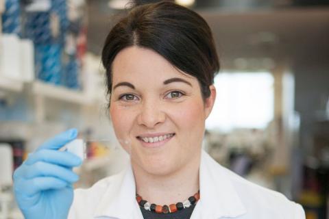 Handful of WA medical researchers awarded funding