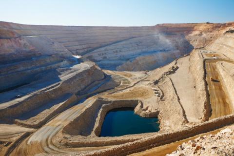 Newcrest fined after dingoes attack WA worker