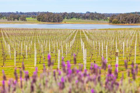 The world wants what we’ve got