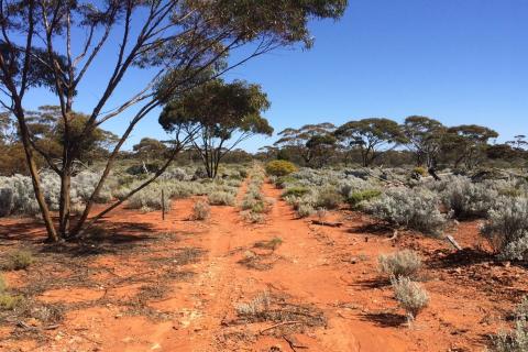 Kin, Alchemy to raise capital