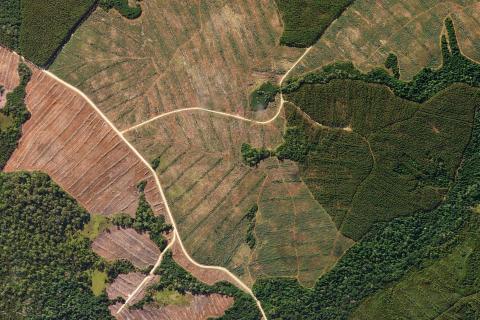 Sustainability is more than being 'green'