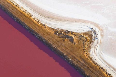 Grumpy but more than capable of making choices