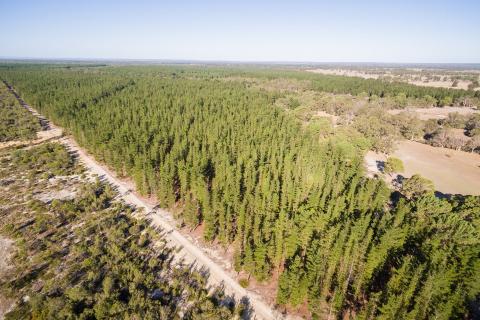 Time to get up to speed on carbon trading