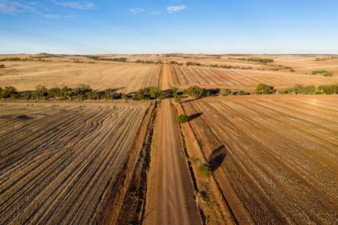 Solving the decarbonisation dilemma for WA businesses