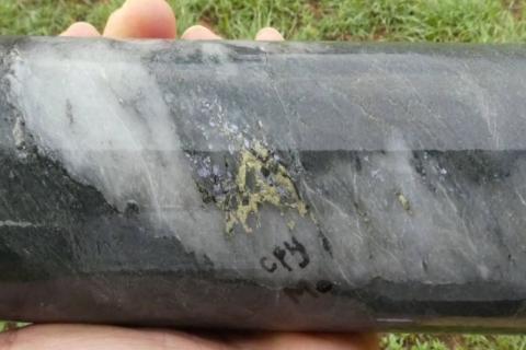 Superior eyes potential copper porphyry in QLD