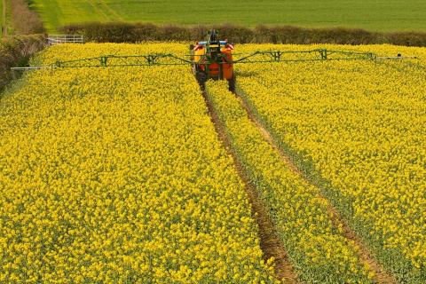 Prices far worse in good old days