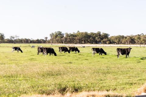 Concerns grow on indigenous heritage bill