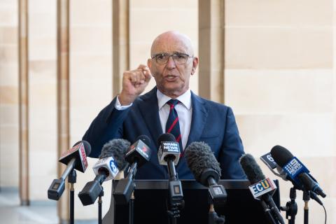 Upper house passes historic voting reform