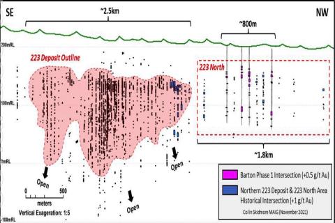 Barton strikes again in SA with new 800m gold zone