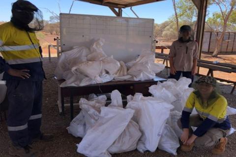 Venus tallies stellar WA gold recoveries from Youanmi ore