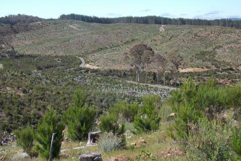 SQM to explore for Pilbara lithium