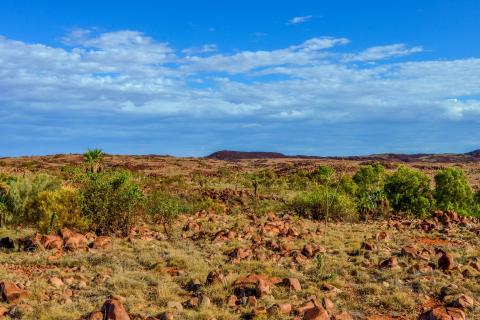 Rio bolsters copper, gold search