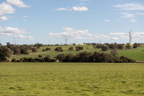 $400m wind farm gains approval