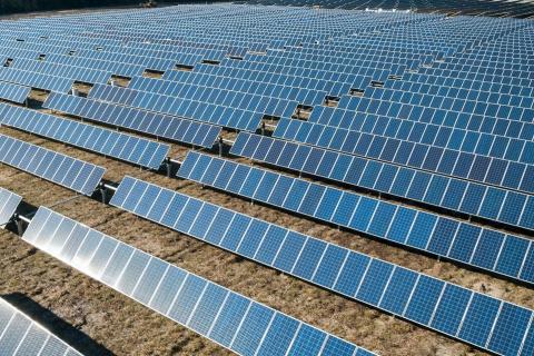 GenusPlus flags move to renewables