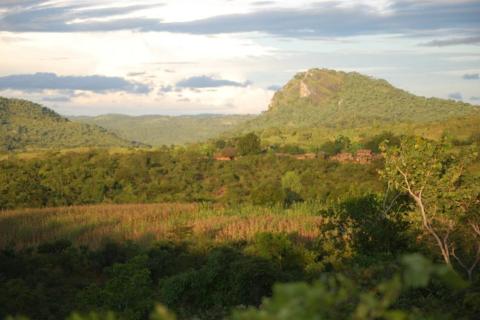 Africa-based CEO to take Globe Metals into 2022