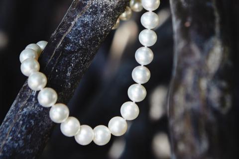 Atlas Pearls shines on forecasts