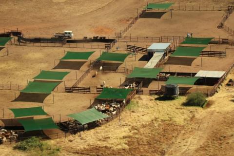 Hancock sells cattle stations