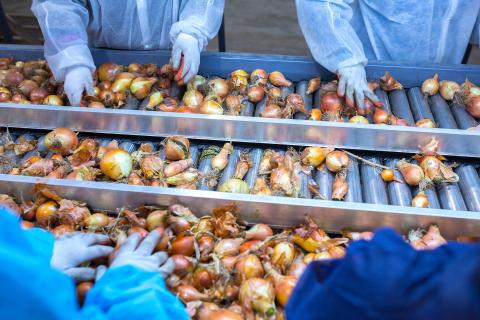 Post-pandemic immigration reset