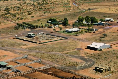 Harvest Road to own Balfour Downs