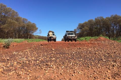 Wallin bids for Carawine