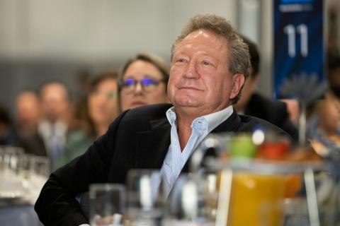 IGO, Wyloo in for nickel partnership