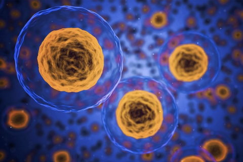 Big-dollar backers for biotech dream team