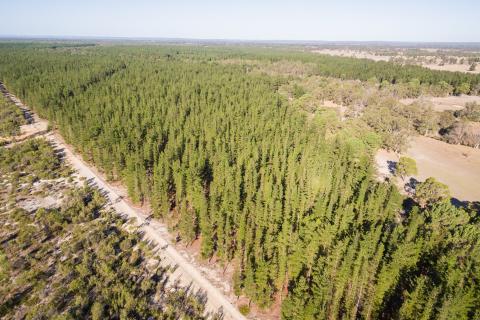 Calls for faster action on approvals