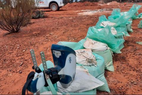 Aldoro hits pegmatites in WA lithium hunt