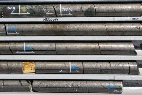 Aldoro nails WA nickel targets