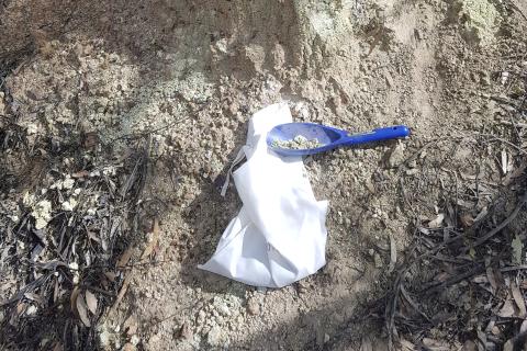 Askari finds gold in Wheatbelt soils