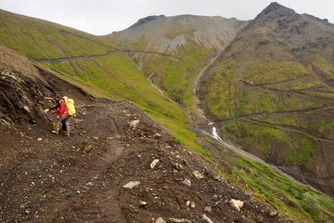 PolarX plans high-grade copper resource growth