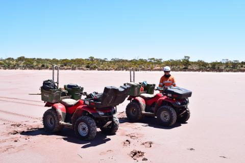 Gravity surveys light up more potash for Trigg