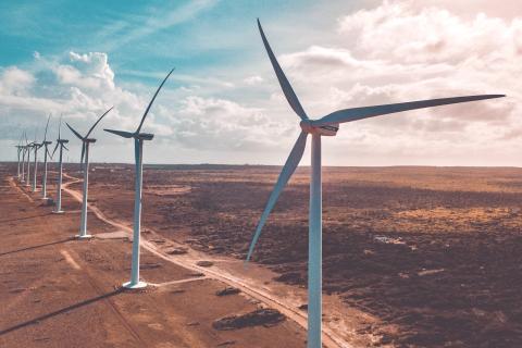 Meeka locks onto more WA rare earths