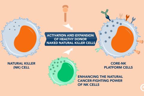 Chimeric passes first test with cancer treatment