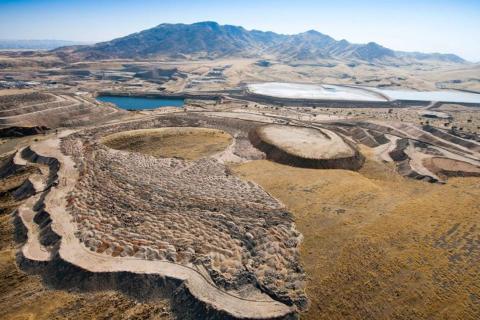 Paladin makes Langer Heinrich move