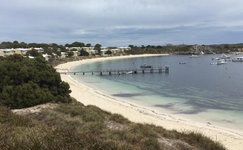 Port to Pub swim event to Rottnest cancelled