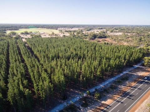 $128.5m in federal Budget for environmental law reforms