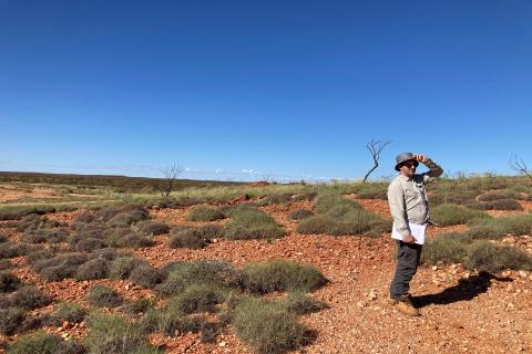 DiscovEx to offload WA gold-lithium project