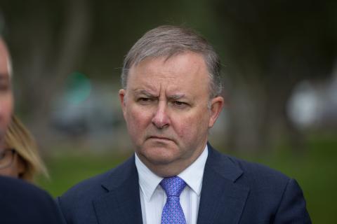 Albanese to emerge from COVID isolation
