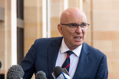 Quigley explains 'memory failure' over Palmer case