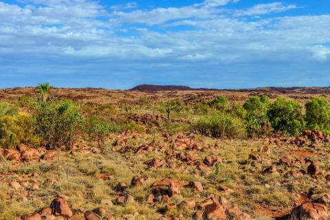 WA leads the pack for mining investment