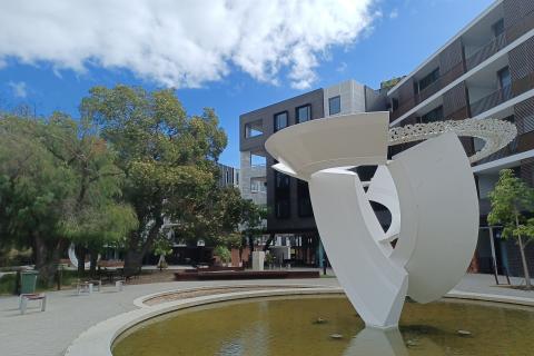 Sentinel stands tall in ‘sanctuary’ state