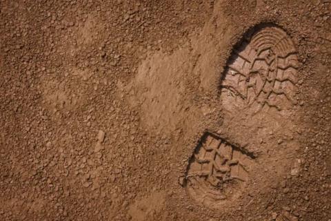 Gold targets beckon on Surefire’s new WA tenure